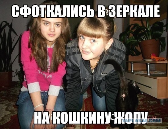 Известные котомемы.