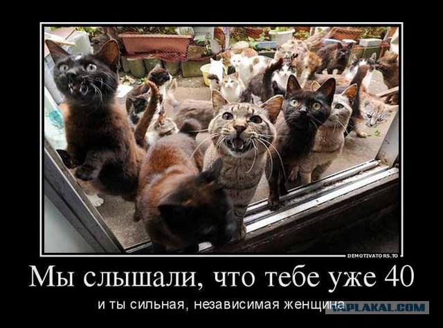 О мужиках на Япе, А я, как оказалось, ипанутая
