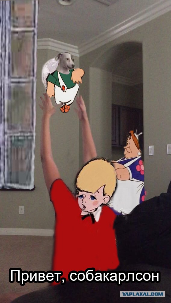 Фотожаберам
