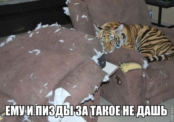 Немного картинок и демотиваторов