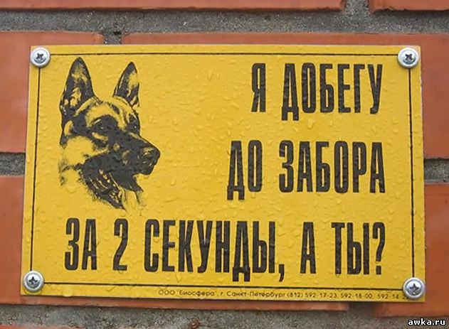 Злые шутки или минутка сарказма на ЯП-е, 16+