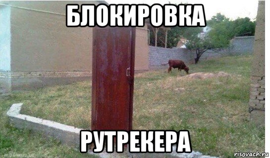 От "Роскомсвободы" потребовали перестать рассказывать о способах обхода блокировок
