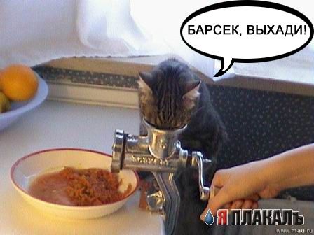 Как делают фарш
