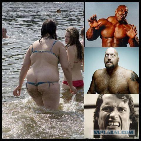 Картинки из интернетов