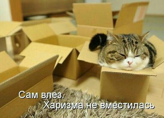 Картинки, демотиваторы и прочие приколы с просторов необъятного