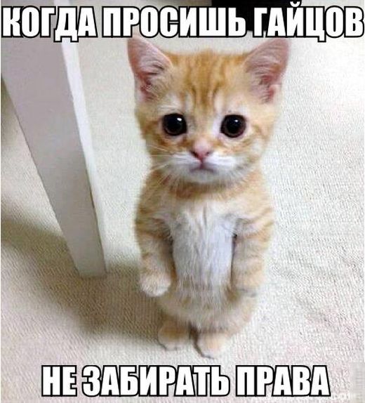 Фотоподборка на пятницу.