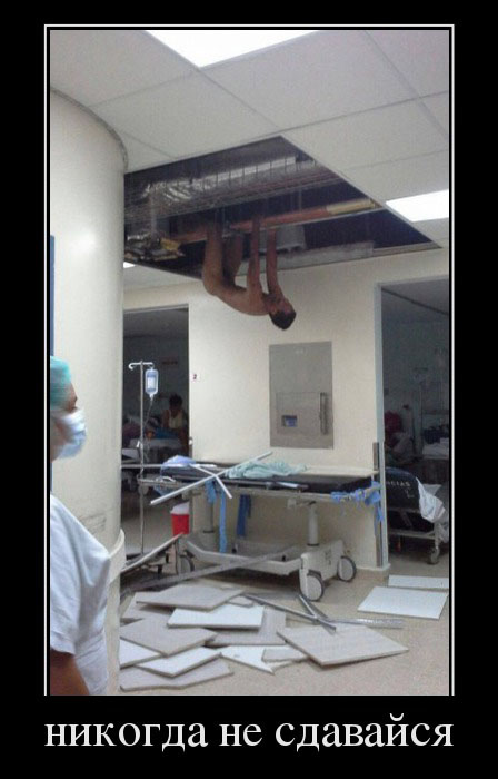 Демы без Темы