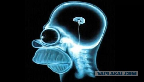 Сайт за 1000 рублей, звонок Люде