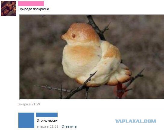 Комментарии, подписи, текстовые приколы