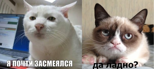 Ударная доза тупежа на начало недели
