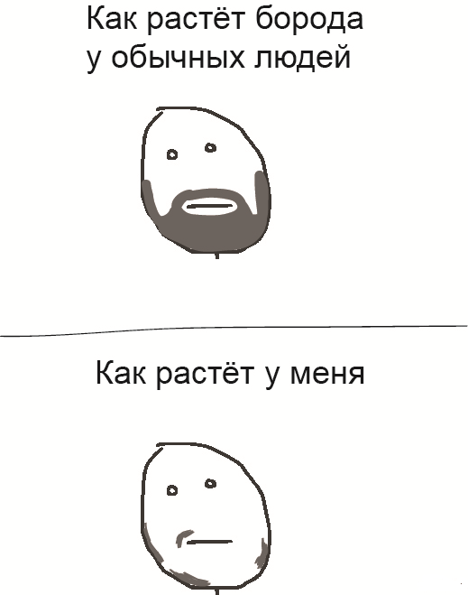 Борода