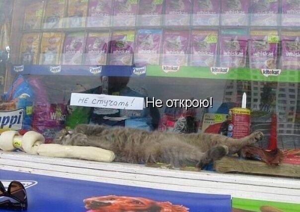 Смешные картинки (30 фото)