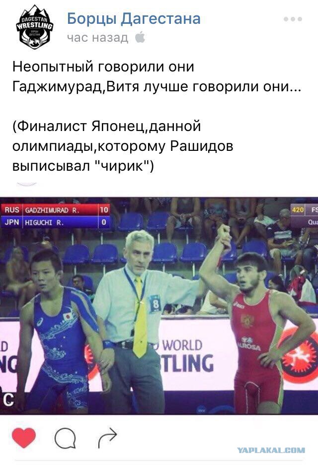 Драка на чемпионате России по борьбе