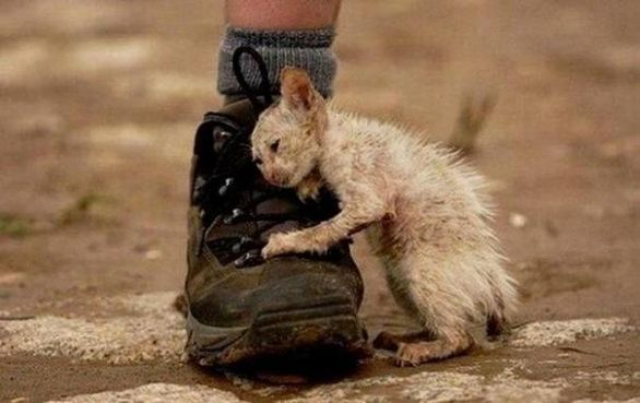15 фотографий на которые нельзя смотреть равнодушно...
