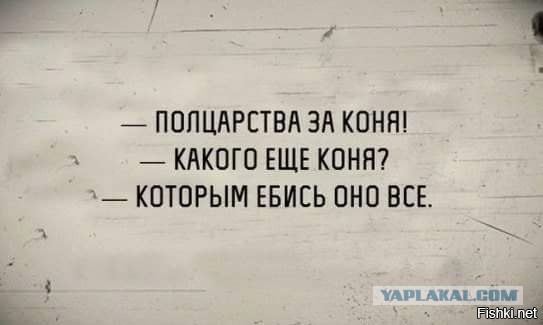 Подборка прикольных и веселых картинок