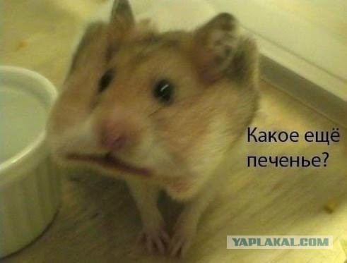 Набористый набор картинок