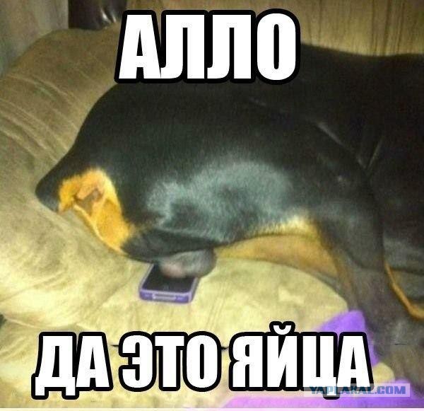 Смешные и не очень жипэги..