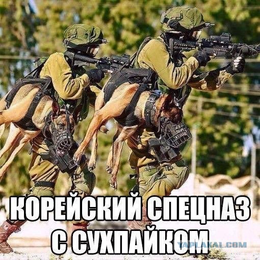 Чёрный и абсурдный юмор к понедельнику
