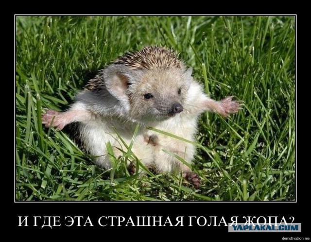 Во Владивостоке девушка сняла трусы в знак протеста.