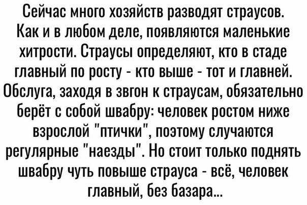 Картинки из инета.