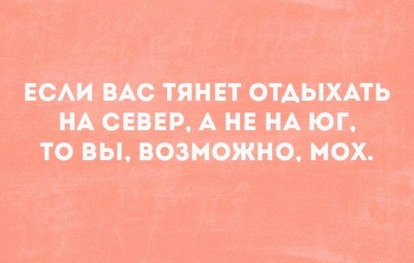 Забавные шутки, фразы и комментарии из этих ваших интернетов