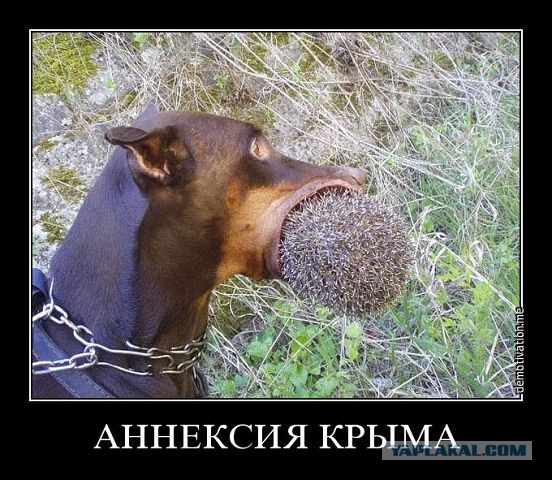 Голая правда о России: Крым, Москва, Питер, Казань