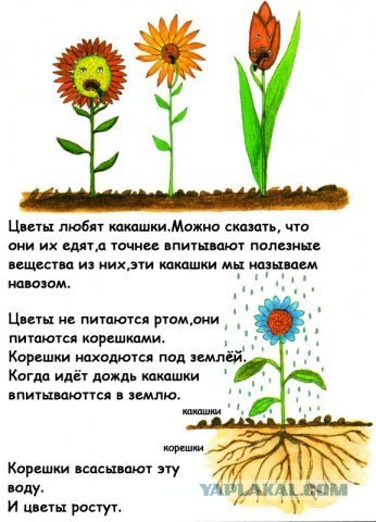 С 8 марта