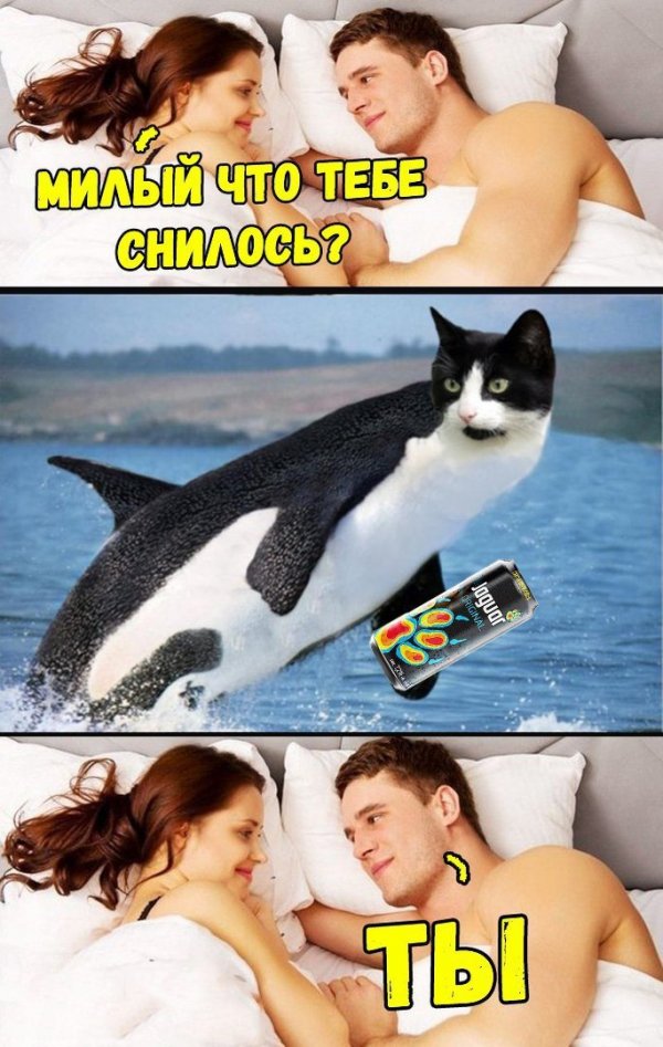 Просто картинки