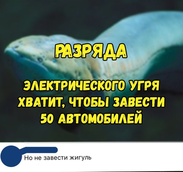 Не очень адекватный юмор