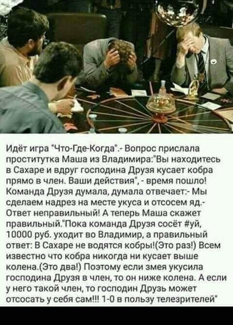 Картинки юморные и тексты 11.10