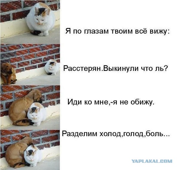 Дружба с детства...