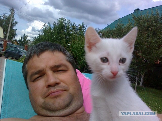 Котовторник 24.07.2012