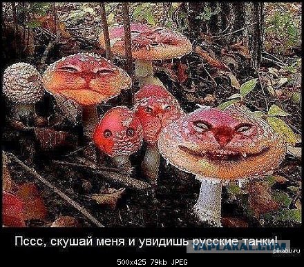 В ДНР выстроилась очередь из желающих получить российский паспорт.