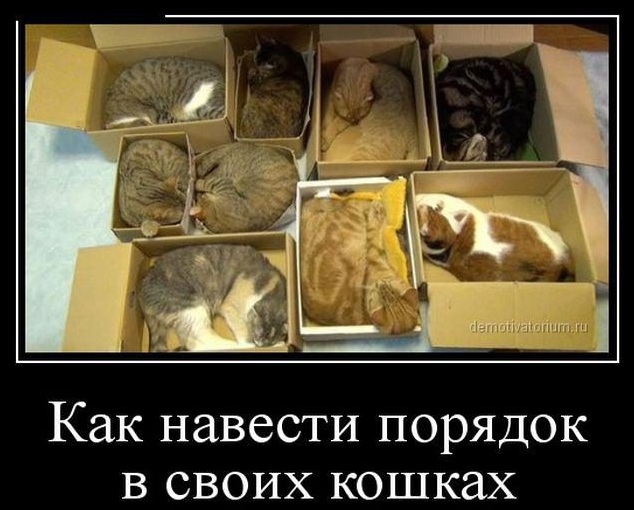 Немного картинок для настроения