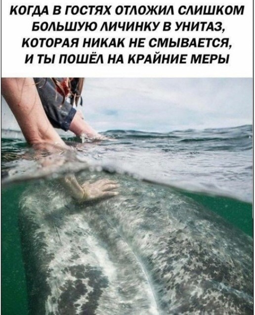Немного картинок для настроения