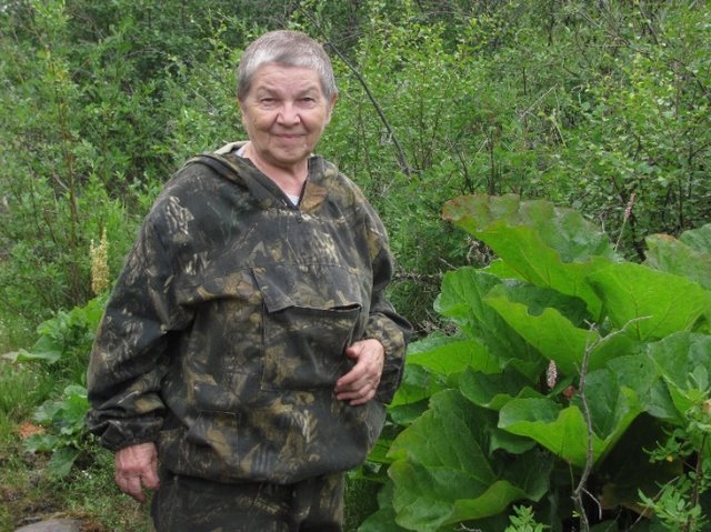 Отшельники в тайге