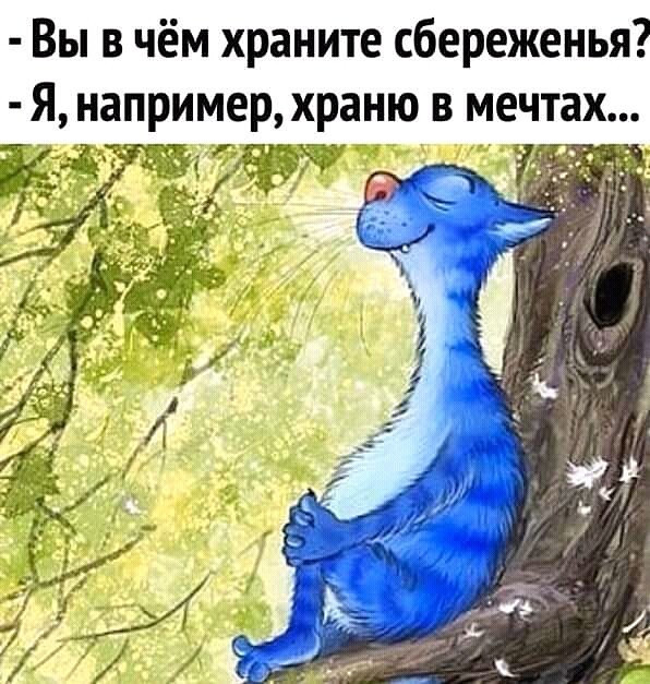 Картинки 15.02.20