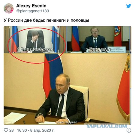 Печенеги, Путин, Плевако и плагиат.