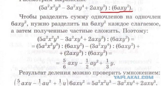 Внезапно. Главный химкинский финансист провалила тест по математике для начальной школы