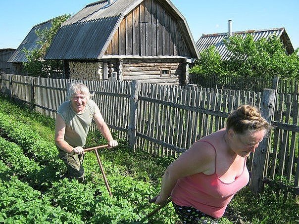 Королевы дачного загара
