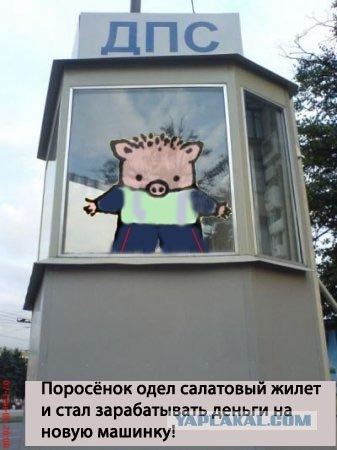 Фотожаба: Поросенок Пётр