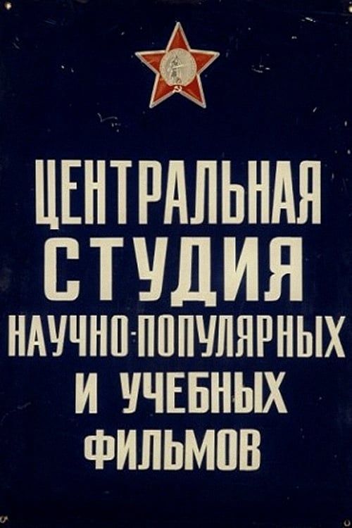 Велоцираптор: Голливуд создал чушь. Мифы и правда об умных «супер хищниках»
