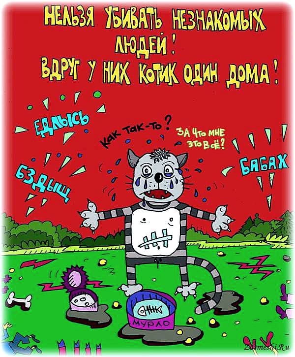 ЯПокатуры от tubdoc62