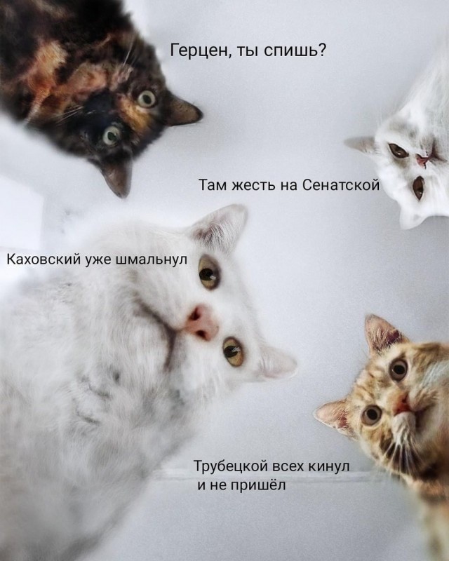 Мемы про Наташу