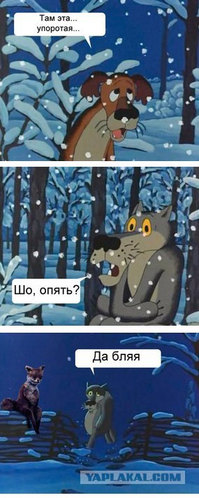 Таксидермия + наркомания