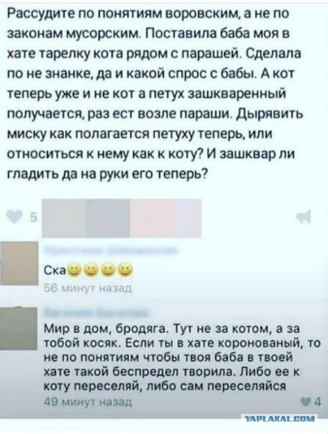 Дурацкие картинки