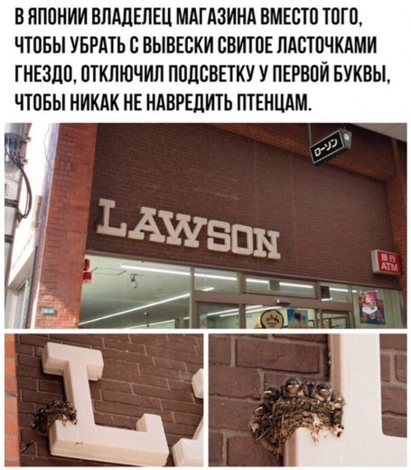 Картинки и мемы для настроения