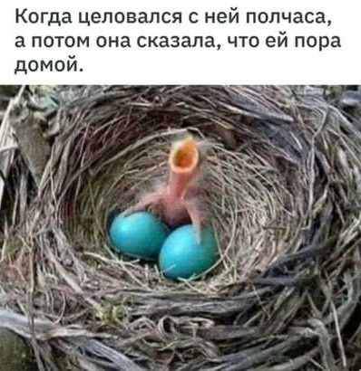 Так себе картинки 28.08.21