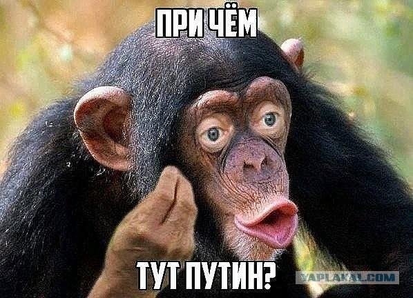 Производители макарон заявили о проблемах, вынуждающих повысить цены: «Наступает паника!»