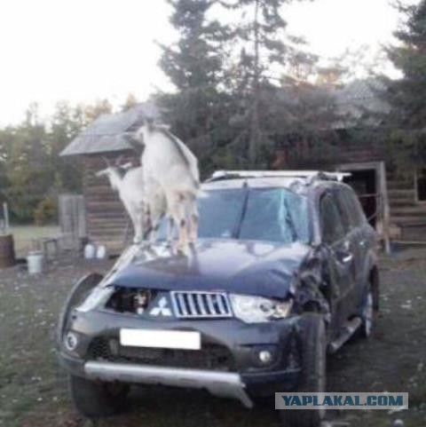 Картинки и мемы, всем прекрасных выходных